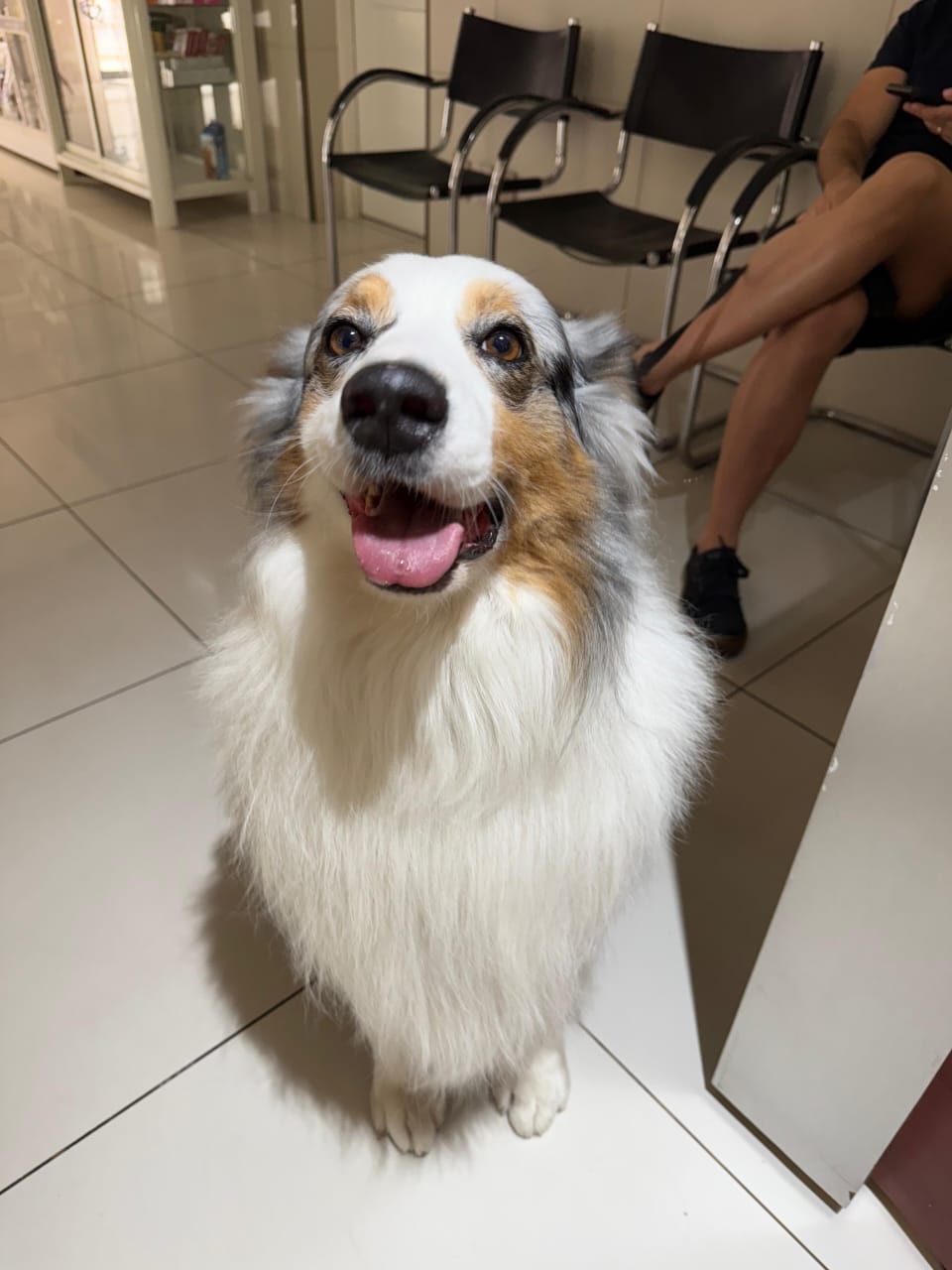 PELUQUERIA