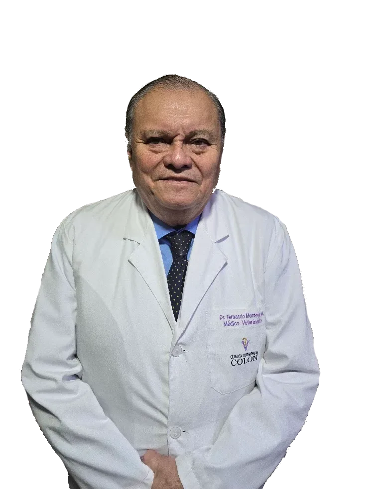 Dr Fernando Montoya